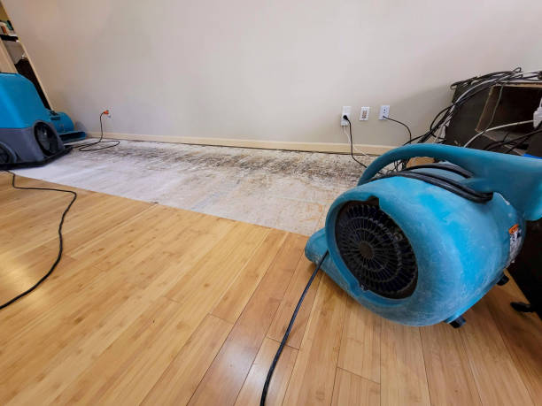 Professional Flood Damage Cleanup technician working in Windsor, PA